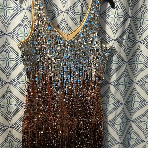 NWT Sequin Ombre Sleeveless Dress w/Perfectly in Tact Embellishments and Lined - Picture 16 of 16